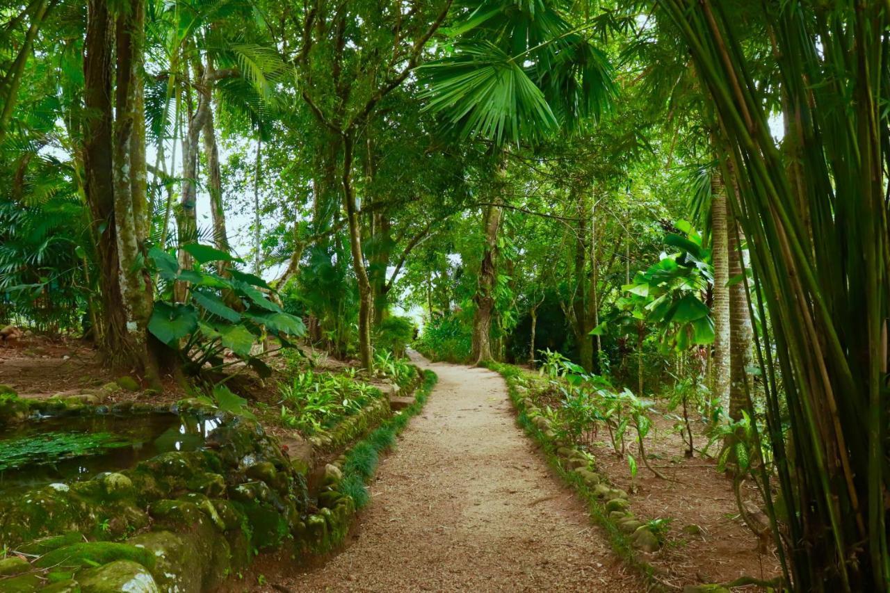 Paradise Eco Garden キトゥルガラ エクステリア 写真