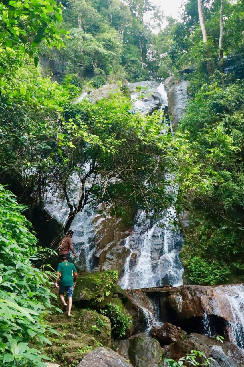 Paradise Eco Garden キトゥルガラ エクステリア 写真