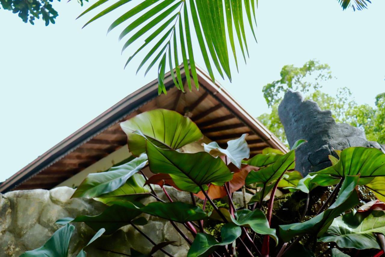 Paradise Eco Garden キトゥルガラ エクステリア 写真