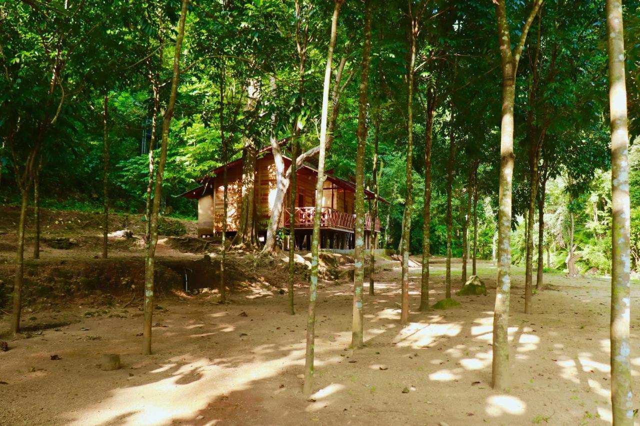 Paradise Eco Garden キトゥルガラ エクステリア 写真