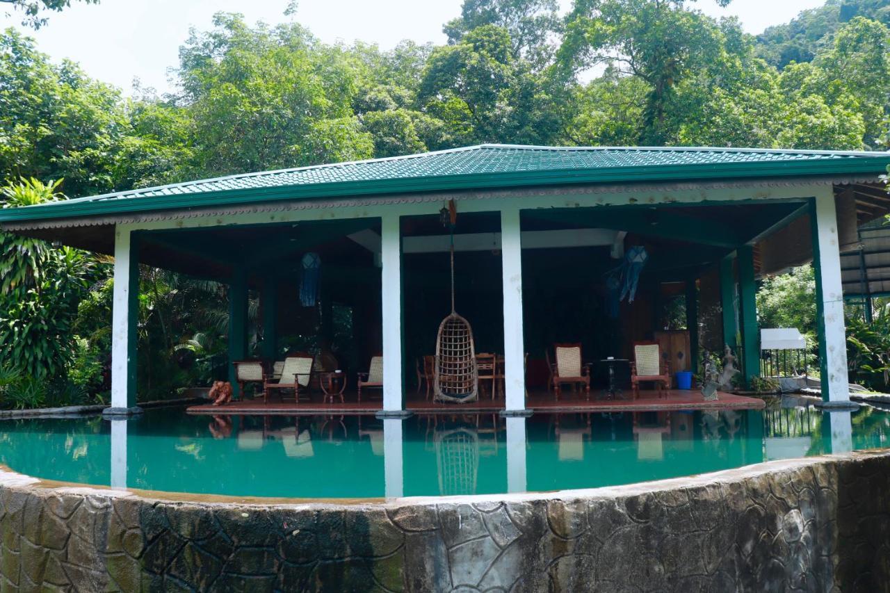 Paradise Eco Garden キトゥルガラ エクステリア 写真